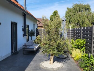 Terrasse mit Pflanzen